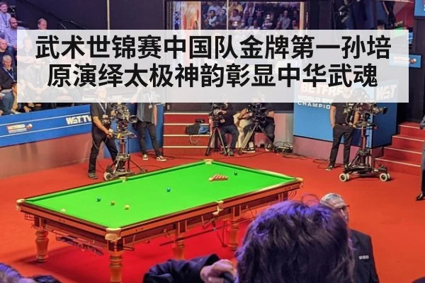 武术世锦赛中国队金牌第一孙培原演绎太极神韵彰显中华武魂