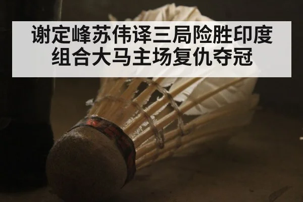 谢定峰苏伟译三局险胜印度组合大马主场复仇夺冠