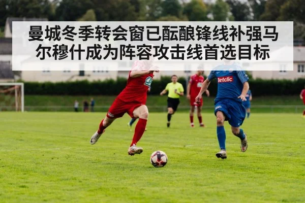 曼城冬季转会窗已酝酿锋线补强马尔穆什成为阵容攻击线首选目标
